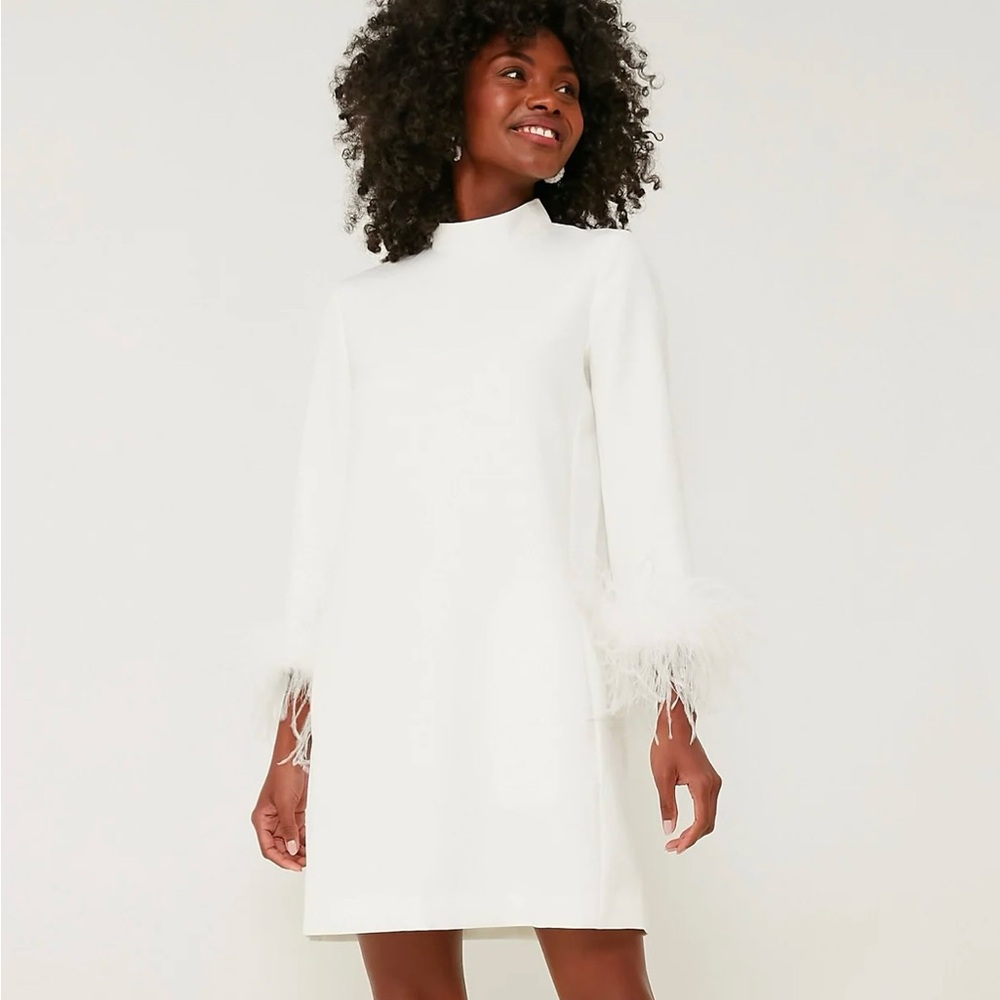 Tuckernuck White Feather Mod Ellie Dress